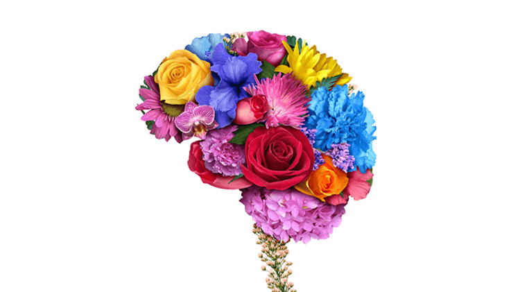 The “Blooming” Field of Neuroarts