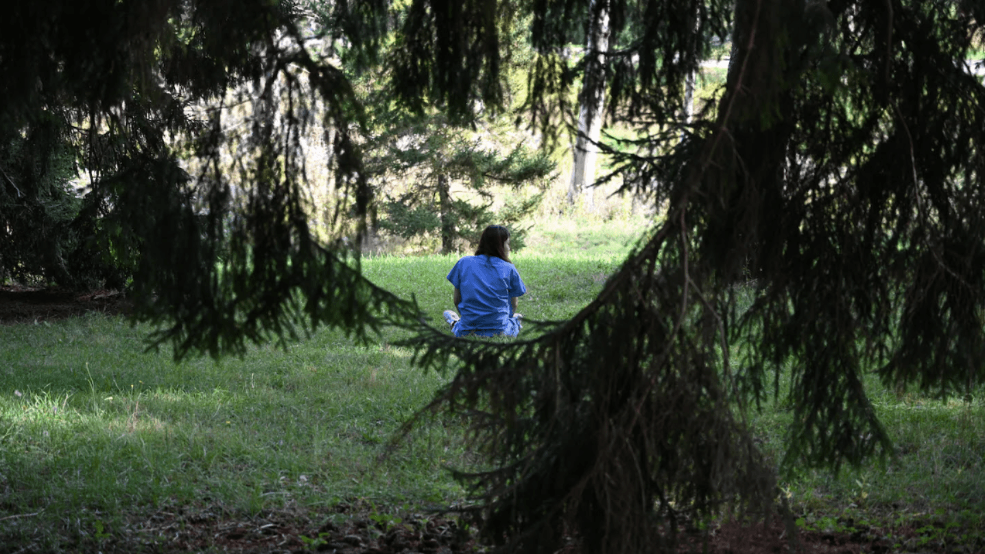 Why Harvard doctors are seeking out this natural remedy for themselves