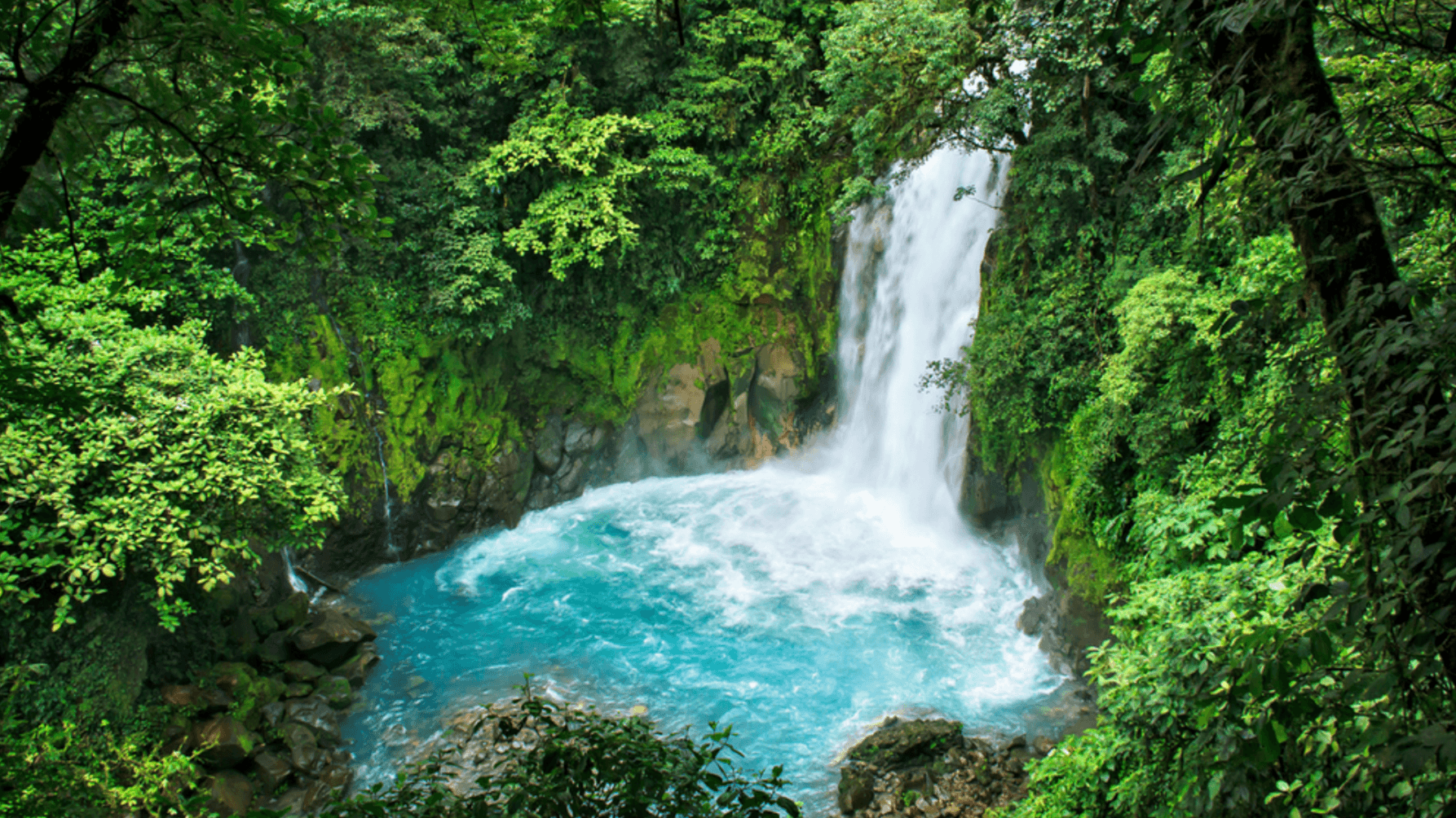 Two Residential Painting Retreats in Costa Rica