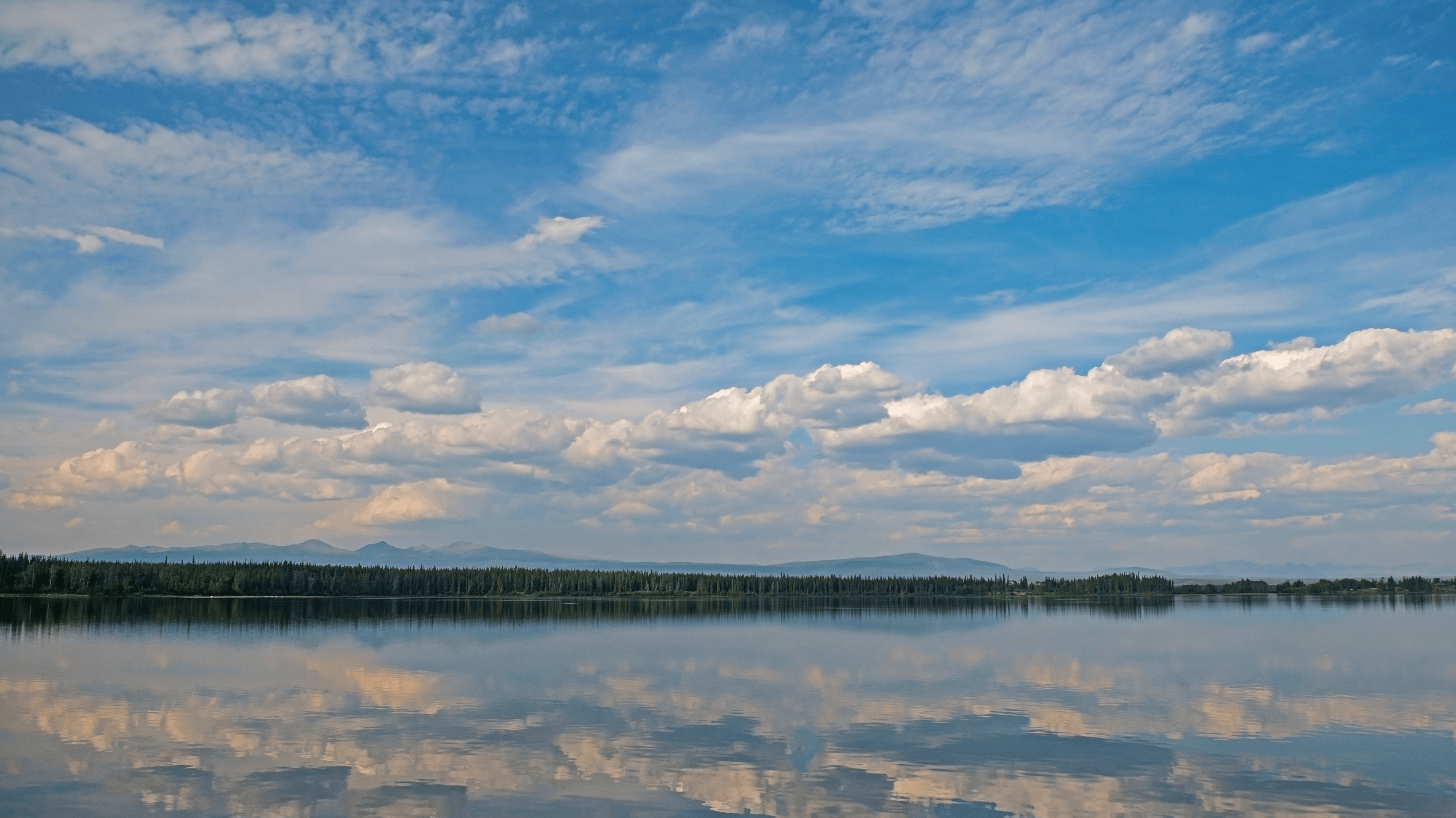 Cognitive Biophilia & The Restorative Impact of Perceived Open Space