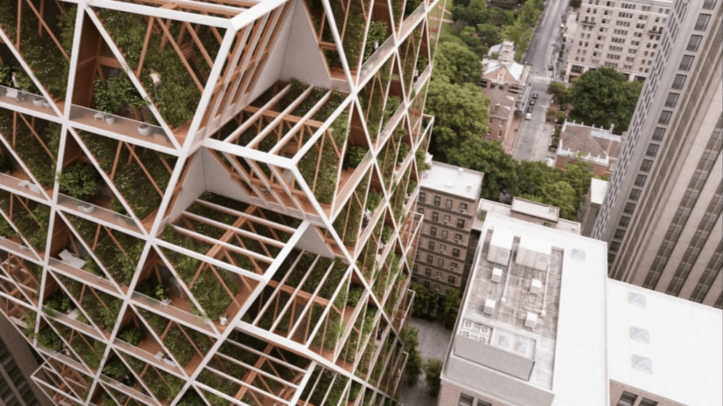 Architectural Neuroimmunology: Do buildings impact the brain via the immune system?