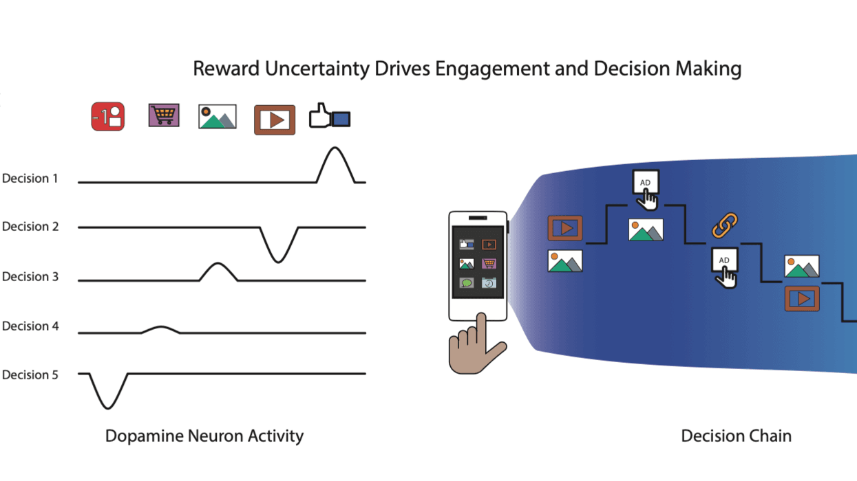 Neural Synchrony of Minds and Machines