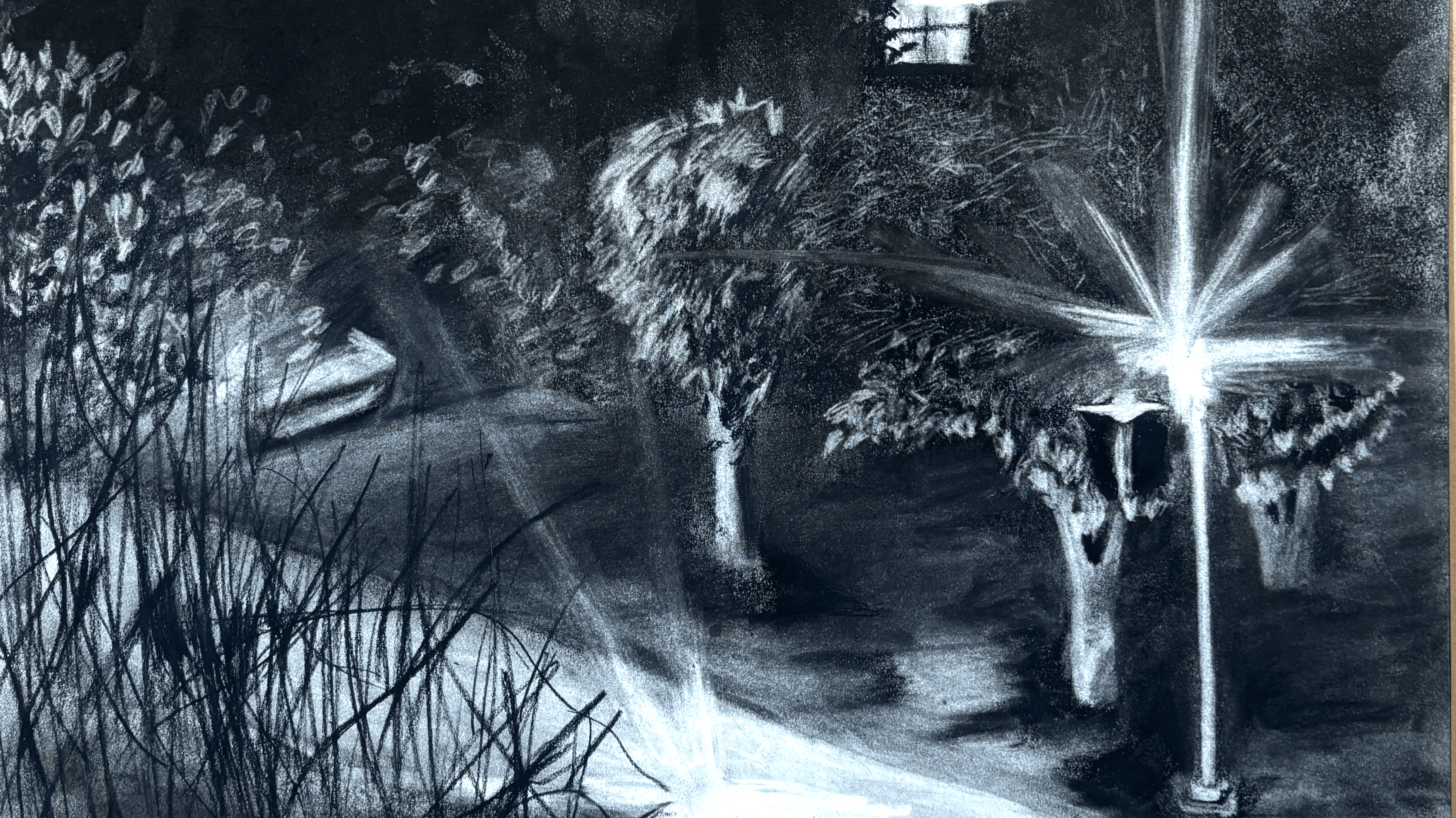 Night Drawing - Salome Galindo